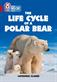 Life Cycle of a Polar Bear, The: Band 14/Ruby